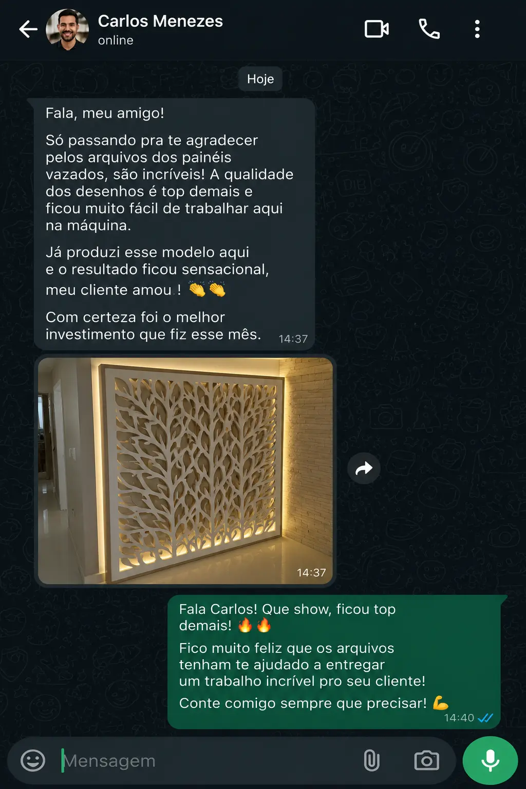 Depoimento WhatsApp 01